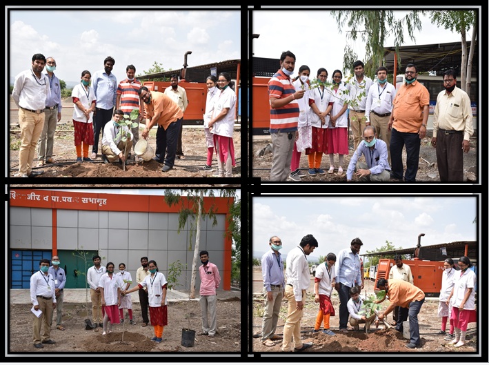 Tree plantation on occasion of World Environment Day
